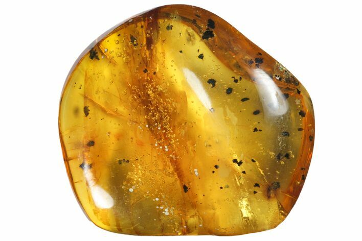 Polished Chiapas Amber ( g) - Mexico #114931